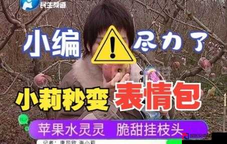 宝丸神装获取全攻略！绝密技巧让你秒变战神